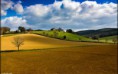 /album/fotogaleria-zamocek-chianti/g-20121229171202-jpg/